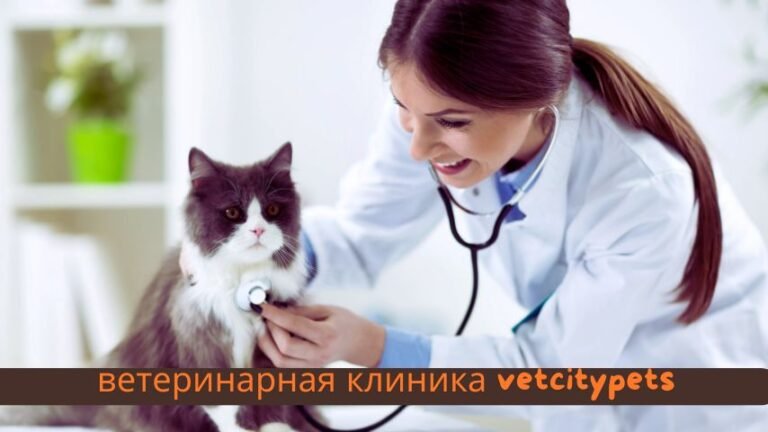 Ветеринарная клиника VetCityPets: Comprehensive Care for Your Pets