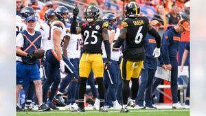 steelers vs denver broncos match player stats